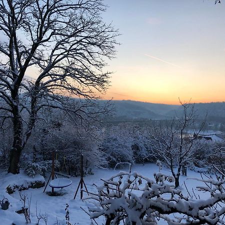 Ueber Den Daechern Von Koblenz - Aussichts-Wohnung Naturpark Rheinblick, Ruhig, Zentrumsnah, Sport-Pool Exteriör bild