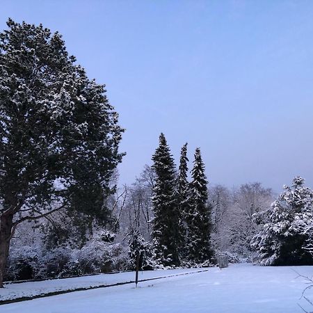 Ueber Den Daechern Von Koblenz - Aussichts-Wohnung Naturpark Rheinblick, Ruhig, Zentrumsnah, Sport-Pool Exteriör bild