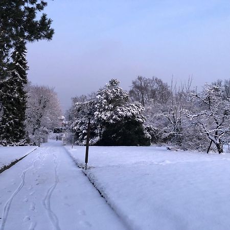 Ueber Den Daechern Von Koblenz - Aussichts-Wohnung Naturpark Rheinblick, Ruhig, Zentrumsnah, Sport-Pool Exteriör bild