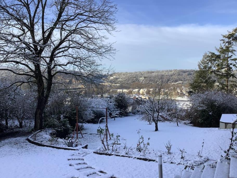 Ueber Den Daechern Von Koblenz - Aussichts-Wohnung Naturpark Rheinblick, Ruhig, Zentrumsnah, Sport-Pool Exteriör bild