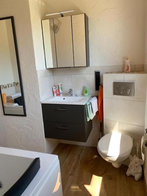 Ueber Den Daechern Von Koblenz - Aussichts-Wohnung Naturpark Rheinblick, Ruhig, Zentrumsnah, Sport-Pool Exteriör bild