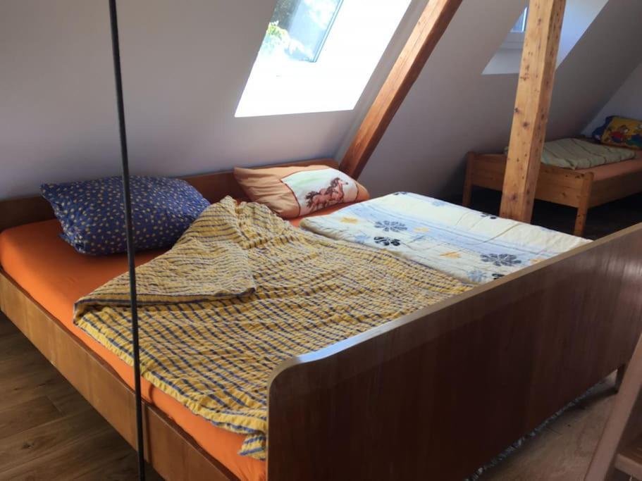 Ueber Den Daechern Von Koblenz - Aussichts-Wohnung Naturpark Rheinblick, Ruhig, Zentrumsnah, Sport-Pool Exteriör bild