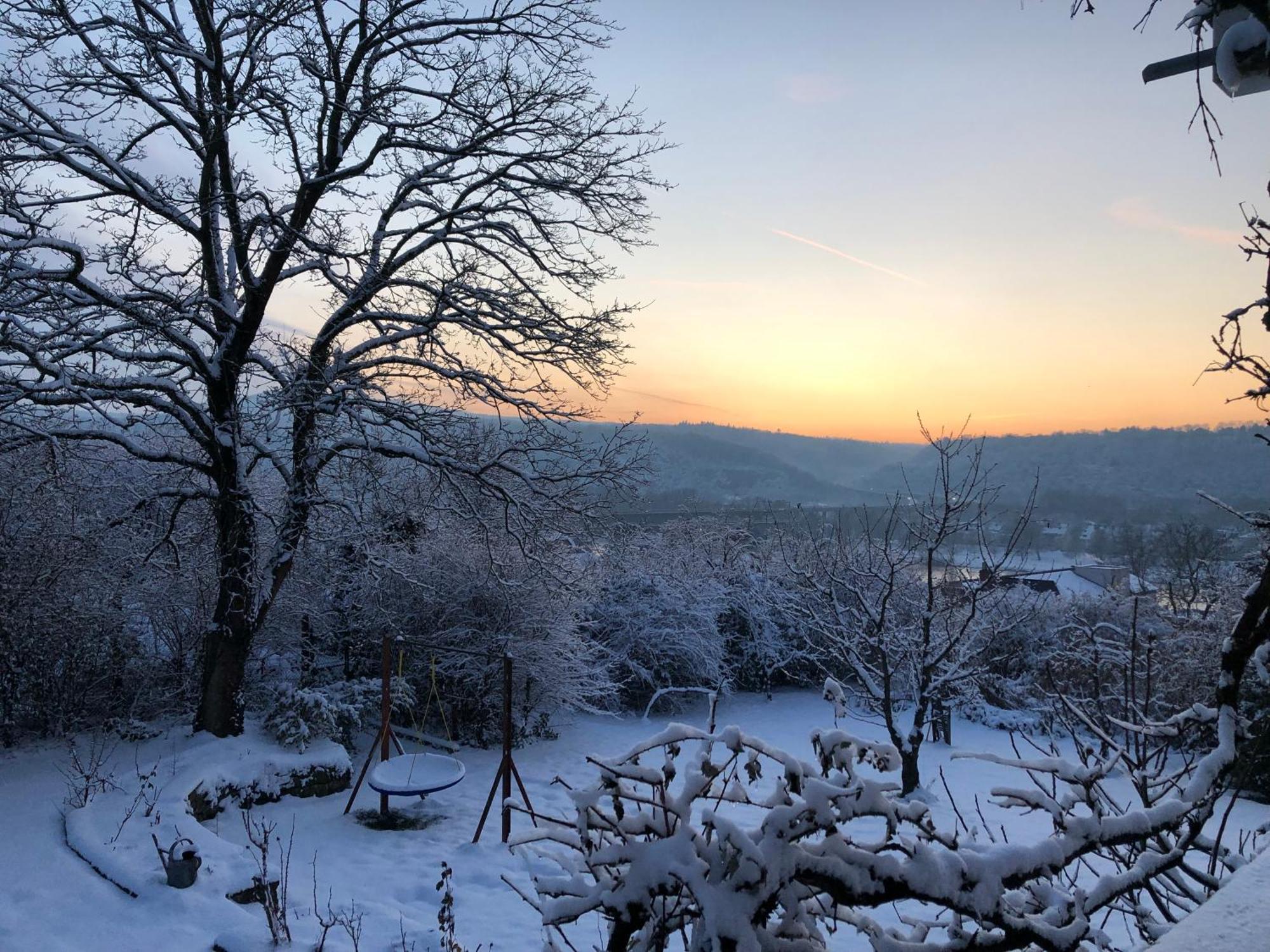 Ueber Den Daechern Von Koblenz - Aussichts-Wohnung Naturpark Rheinblick, Ruhig, Zentrumsnah, Sport-Pool Exteriör bild